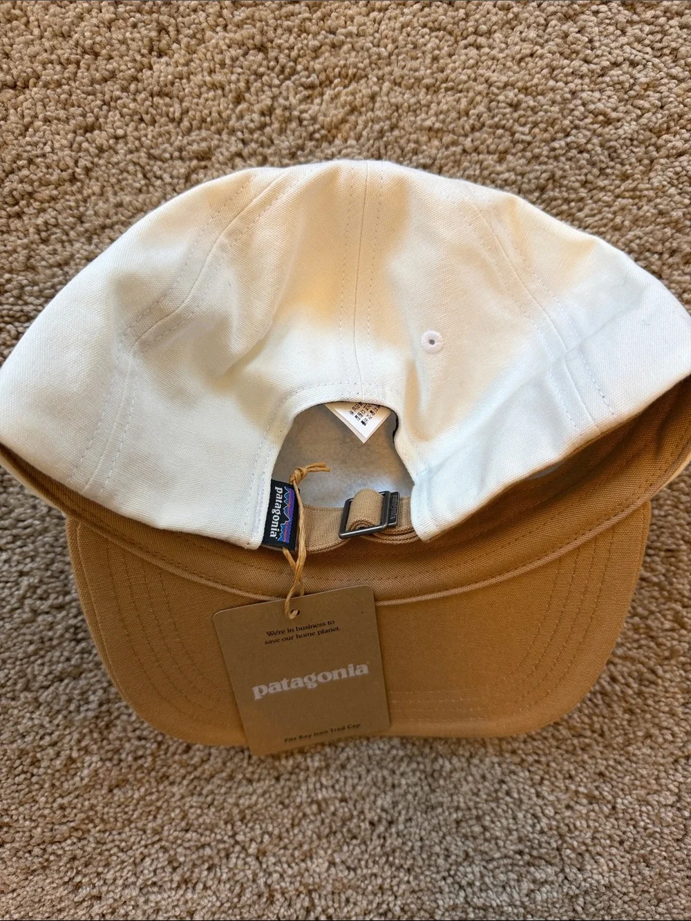 NWT Patagonia Fitz Roy Icon Trad Cap